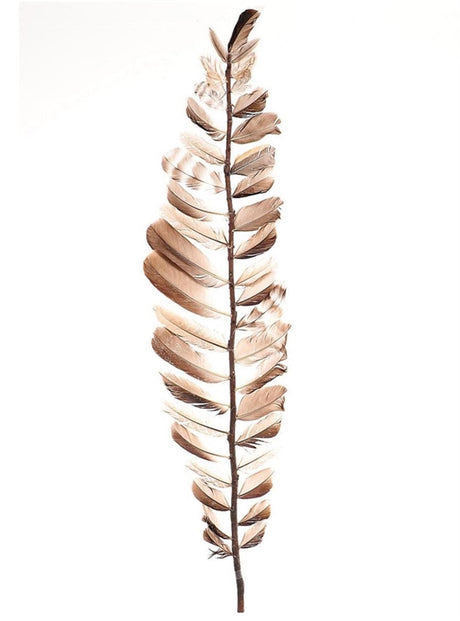 HBx natural living deco grenfjer 60cm