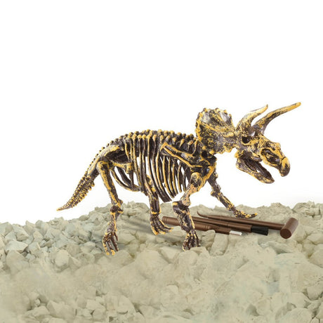 Dino base | 3 stk