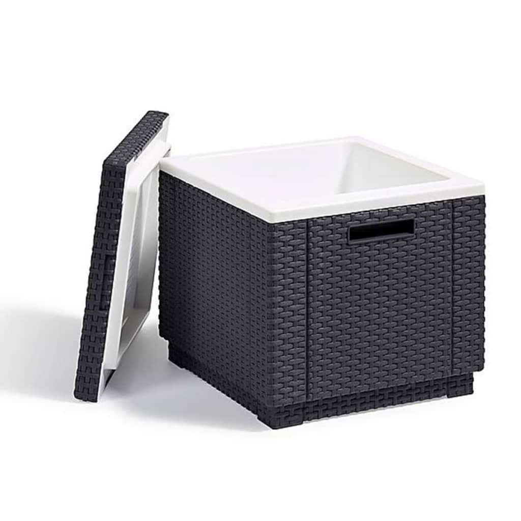 Keter Keter Cool Box Ice Cube Graphite Farvet