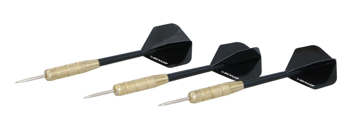 Eddy toys masterdarts dart 20gr på kort