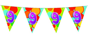 HAZA WITBAARD FLAG LINE 9 år, 10MTR.