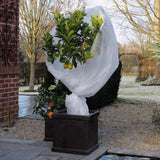 Natur vinterdæksel 30 g m² 1x10m hvid