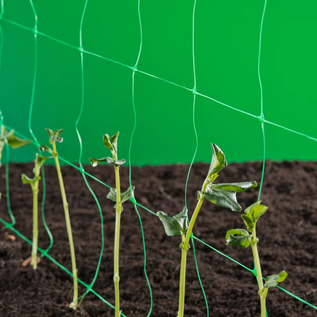 Natur Klimnet til planter Green 2x5 M 6030430