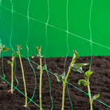 Natur Klimnet til planter Green 2x5 M 6030430