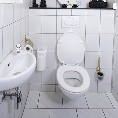 Hg øko toiletrumsrens