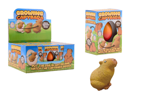 Johntoy voksende capybaraæg i æske, 4 assorterede