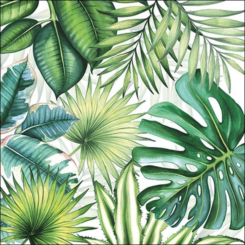 Ambiente servietter 33x33cm 20 stk blade