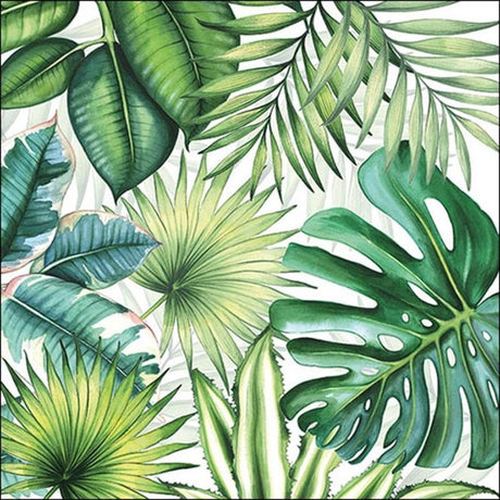 Ambiente servietter 33x33cm 20 stk blade