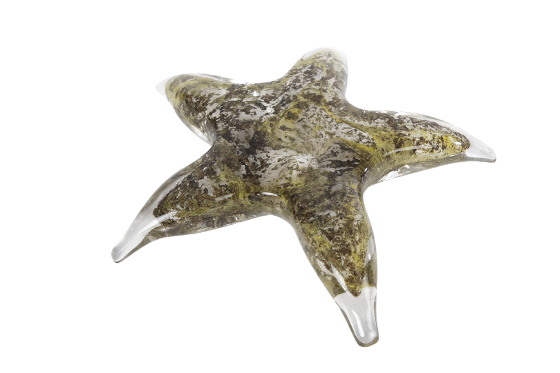 Sculptuur starfish grijs groen glas 15,5x14,5x3,5cm