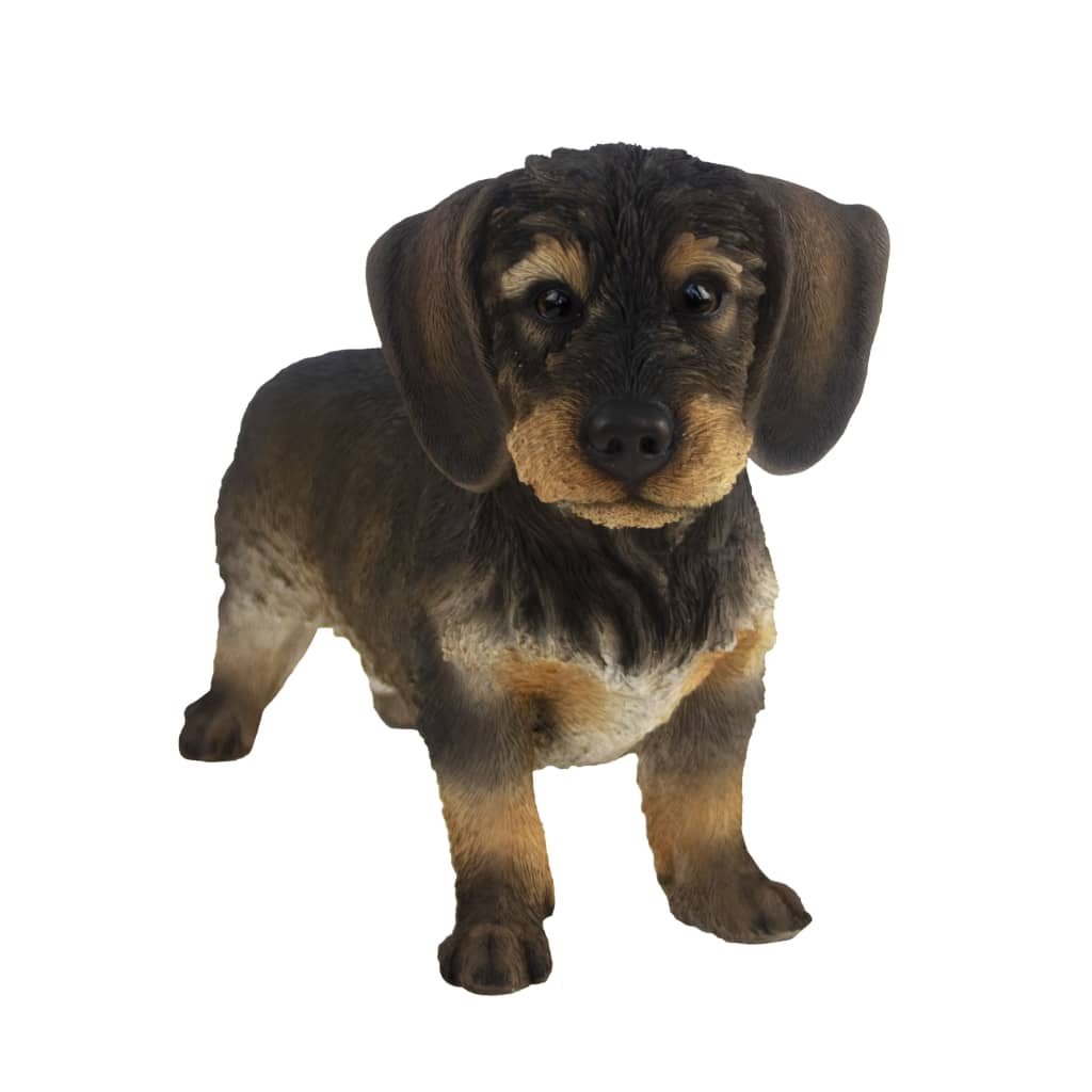 Esschert Design Esschert Design Rough -Haired Dachshund 50x15x27,8 cm