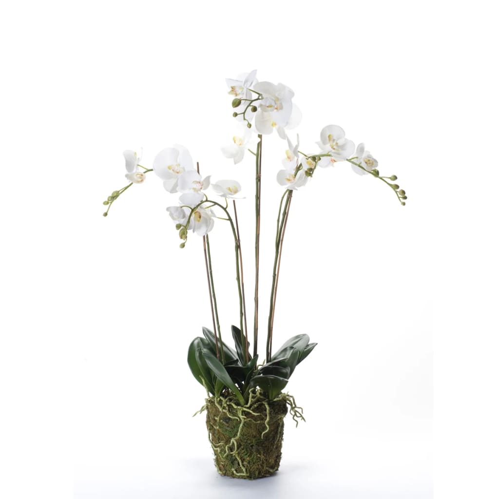 Emerald Art Plant Orchid med Moss White 90 cm 20.355