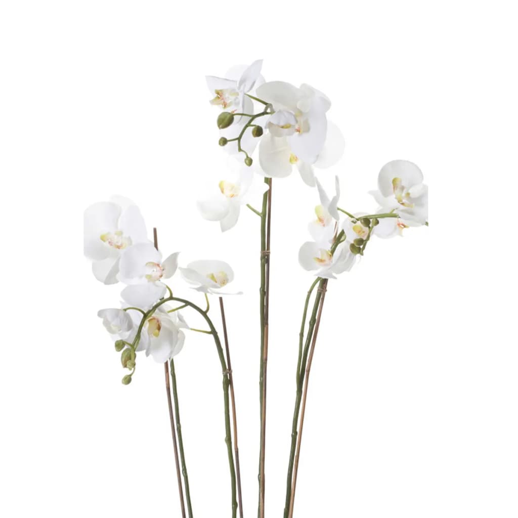 Emerald Art Plant Orchid med Moss White 90 cm 20.355