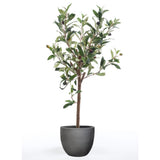 Emerald Art Plant Olive Tree Mini 65 cm