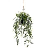 Emerald kunstanlæg hængende i pot buxus 50 cm
