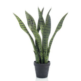 Emerald Art Plant Sansevieria i pot 55 cm