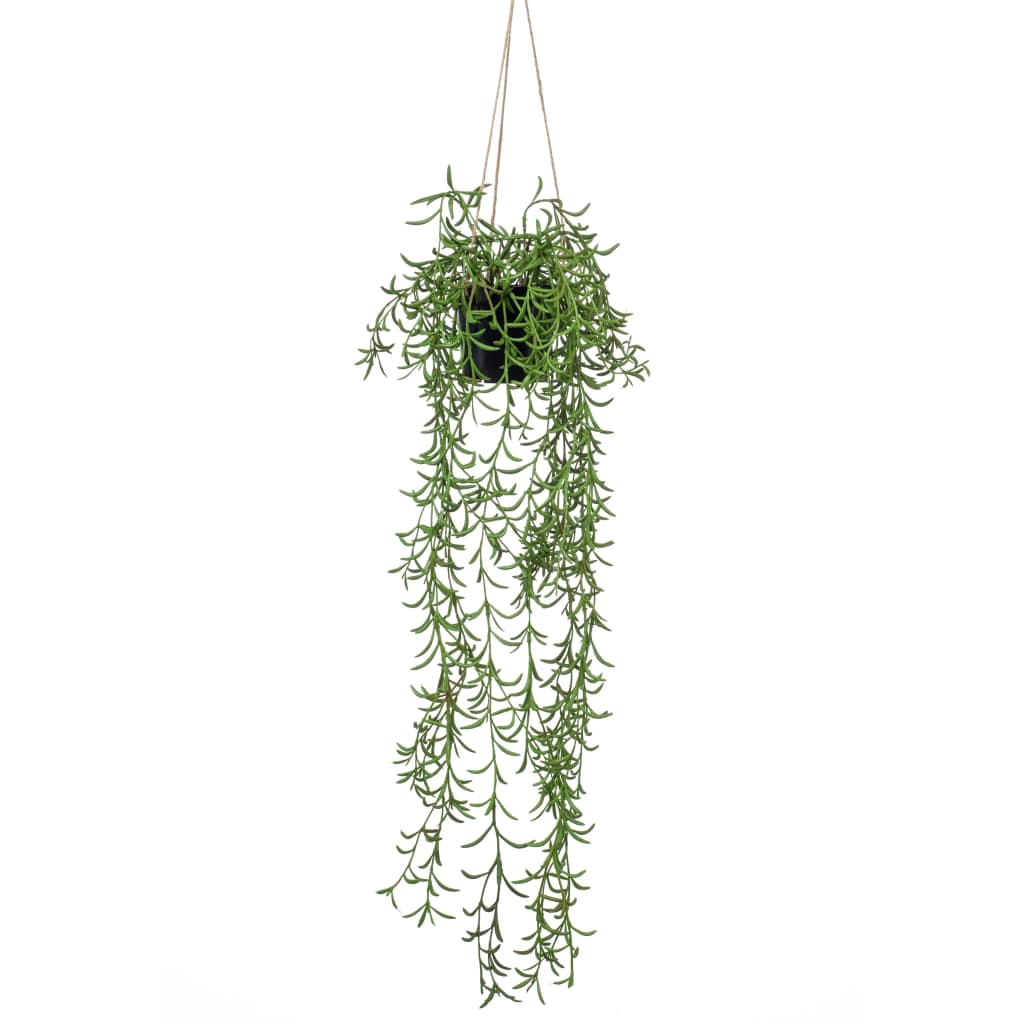 Emerald Art Plant hængende i Pot Senecio 70 cm