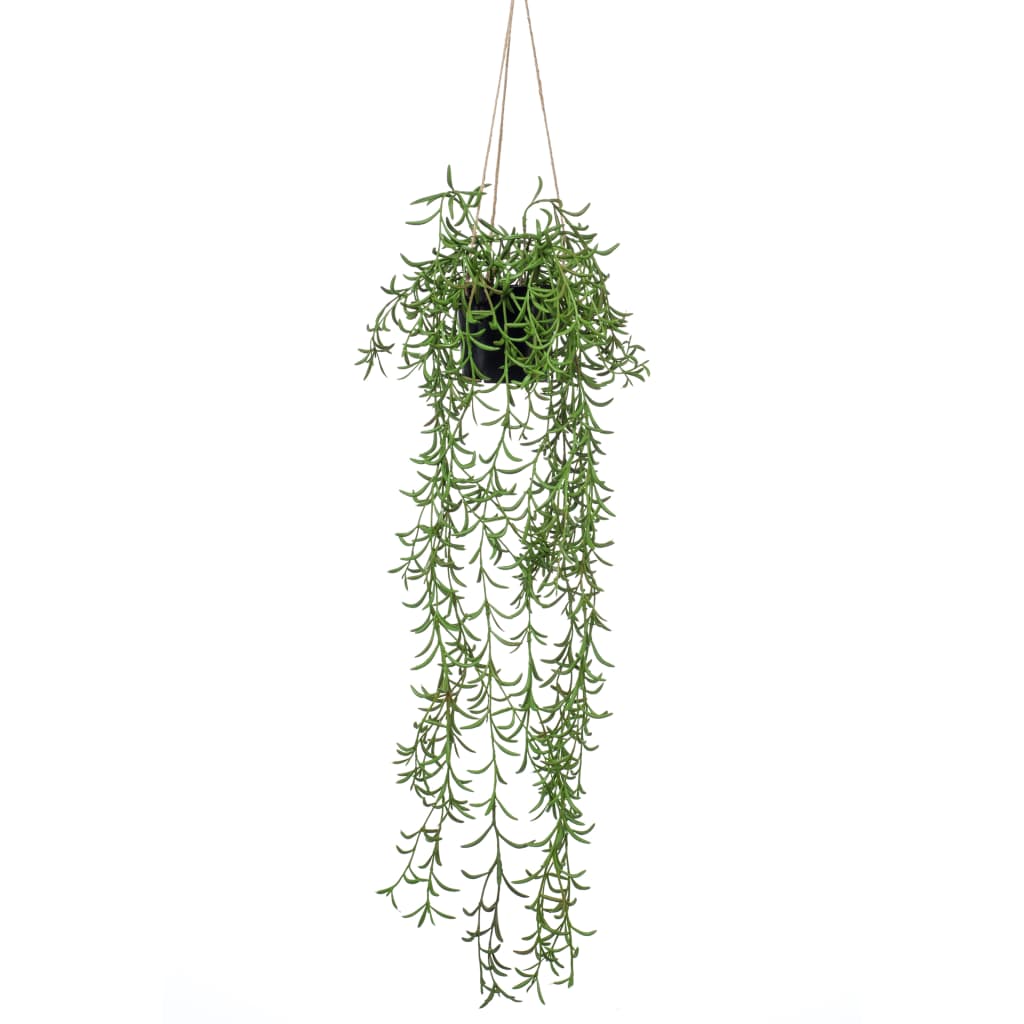 Emerald Art Plant hængende i Pot Senecio 70 cm