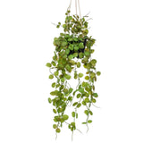 Emerald kunstig plante hængende i gryde lanterne plante 50 cm