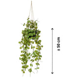 Emerald kunstig plante hængende i gryde lanterne plante 50 cm