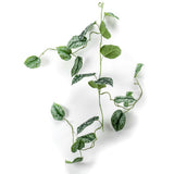 Emerald kunstig plante Hilder Scindapsus PICT 120 cm