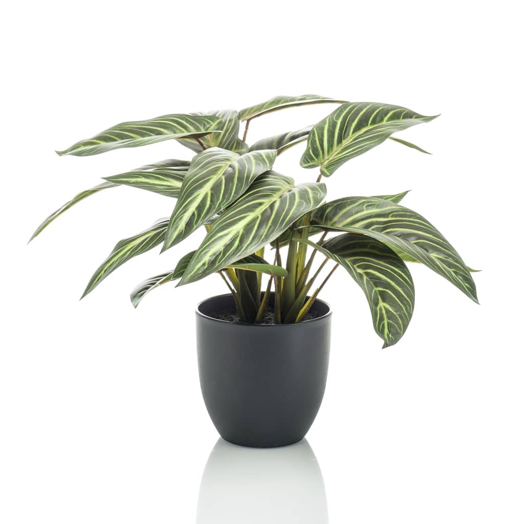 Emerald Art Plant i Pot Zebrina Calathea 38 cm