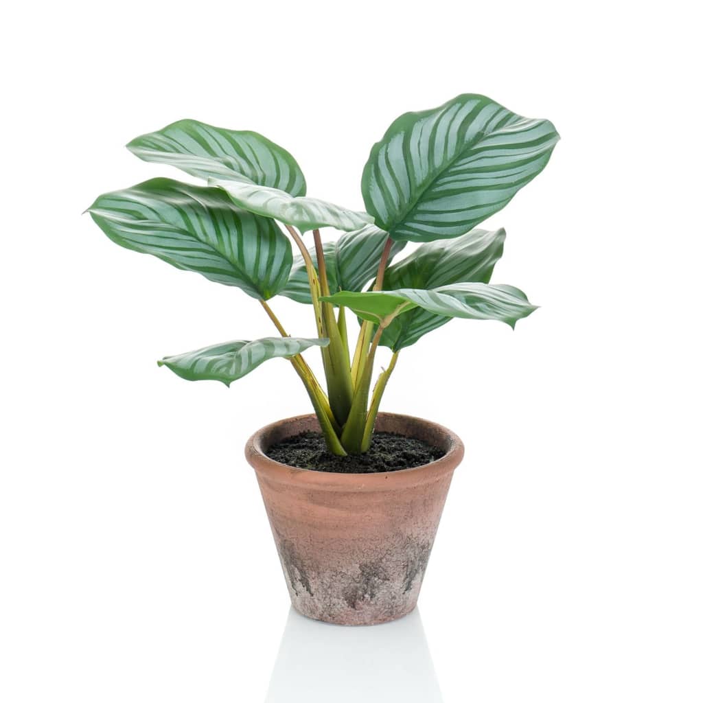 Emerald kunstanlæg i potter terra calathea orbifolia 32 cm