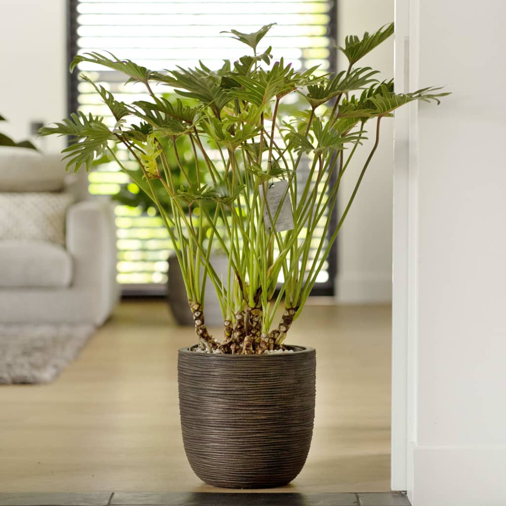 Capi capi planter natur rib 43x41 cm mørkebrun