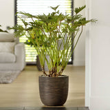 Capi capi planter natur rib 43x41 cm mørkebrun