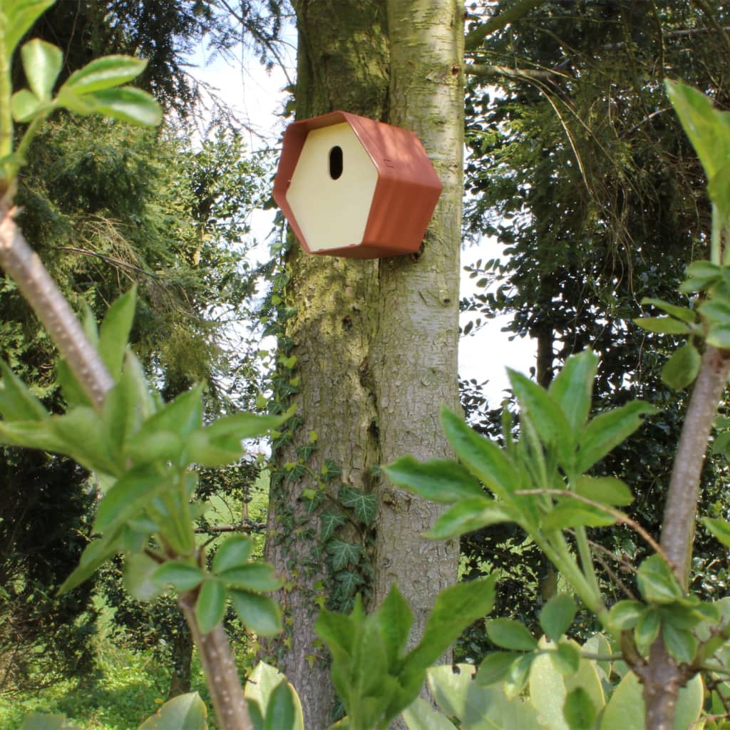 Capi Capi Vogelhuisje Hive 2 19x23x20 cm brun