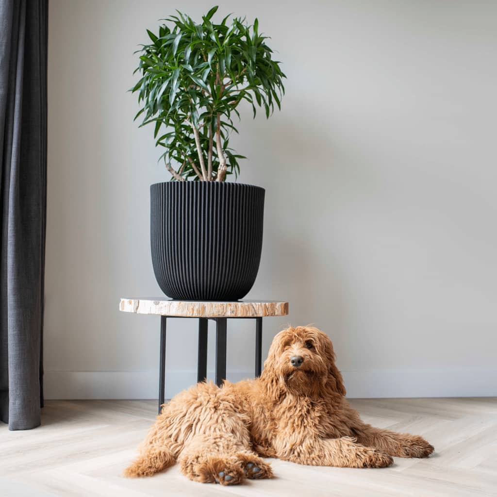 Capi planter rille 35x34 cm sort