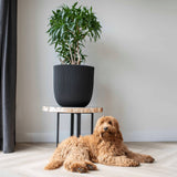 Capi planter rille 35x34 cm sort