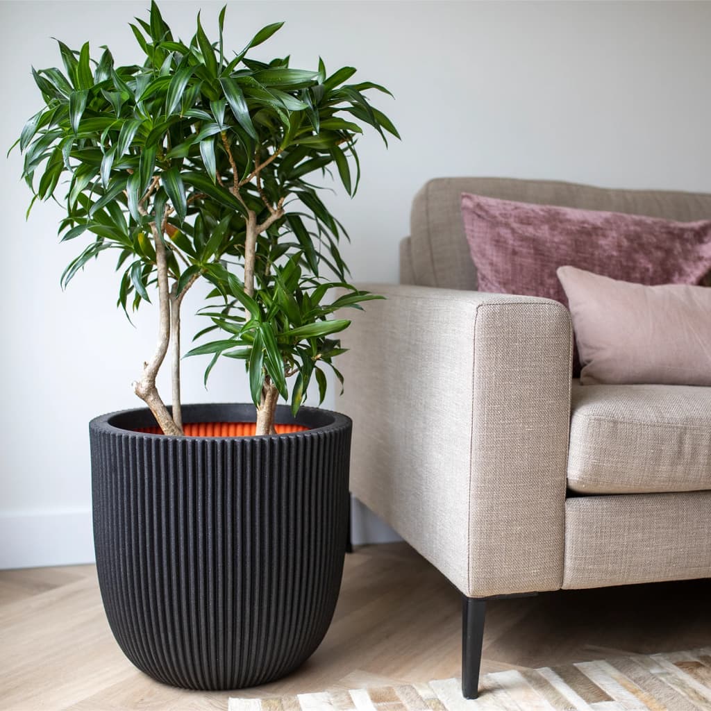 Capi planter rille 35x34 cm sort