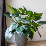 Capi -blomstrende rille Elegant 46x58 cm Anthracite -farvet