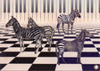 Prentbriefkaart cd03: piano zebra 6 st