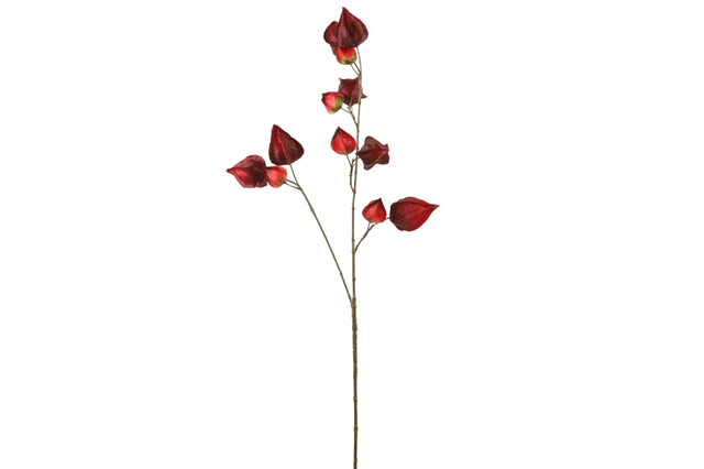 Countryfield kunstbloem physalis bordeaux 95cm