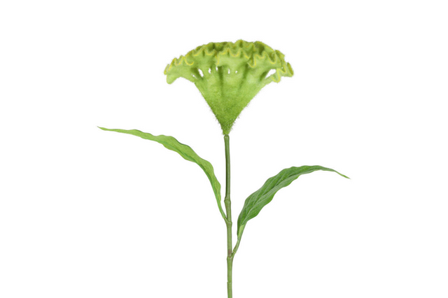 Countryfield kunstbloem celosia groen 62cm