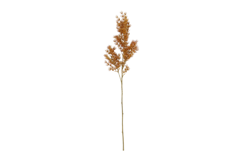 Countryfield kunstbloem asparagus s oranje 73cm