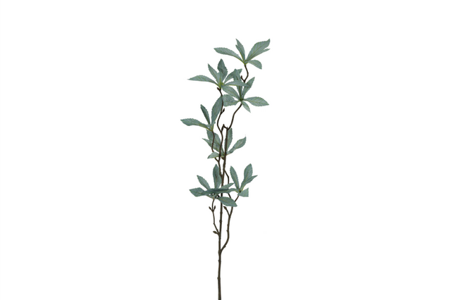 Countryfield kunstbloem pachira groen 80cm