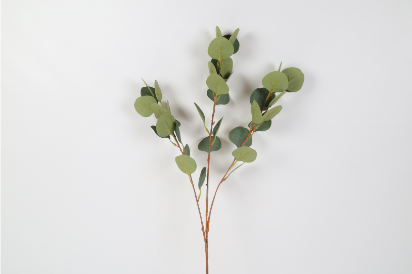Countryfield blad eucalyptus populus 15x12x80cm - groen
