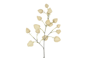 Countryfield bloem physalis 16x16x82cm - beige