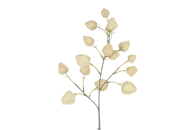 Countryfield bloem physalis 16x16x82cm - beige