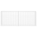 Vidaxl Schanskorf 85x30x200 cm galvaniseret stål