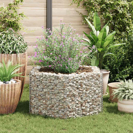 Vidaxl Gabion Planter Insent Hexagonal 100x90x50 cm