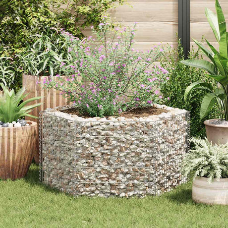 Vidaxl Gabion Planter Insent Hexagonal 100x90x50 cm