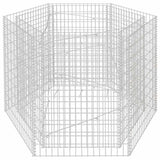 Vidaxx gabion planter hævet sekskantet 160x140x100 cm