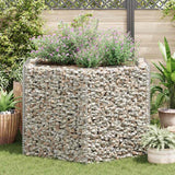 Vidaxx gabion planter hævet sekskantet 160x140x100 cm