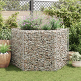 Vidaxx gabion planter hævet sekskantet 160x140x100 cm