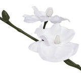 Vidaxl Artificial Plant Orchid med pot 30 cm hvid