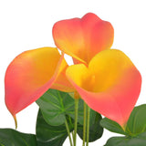 Vidaxl Art Calla Lelie Plant med gryde 45 cm rød og gul