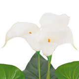 Vidaxl Art Calla Lelie Plant med pot 45 cm hvid